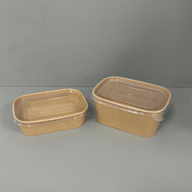 rectangular bowls with lids