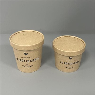 12-Unzen-Eisbecher aus Papier mit Papierdeckel